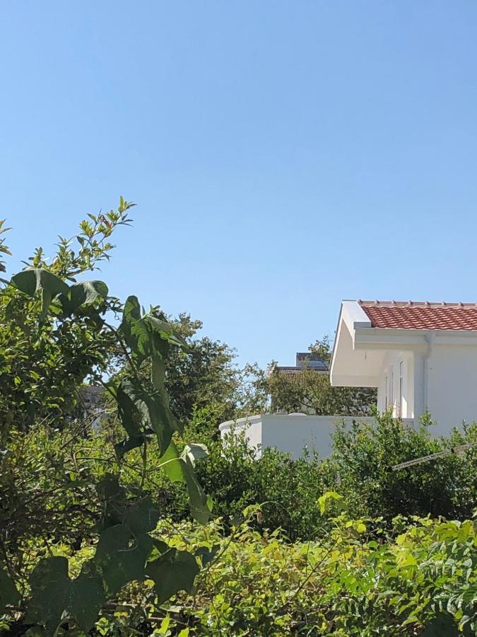 Villa Dafina โดนิจ์ สโตจ์ ภายนอก รูปภาพ
